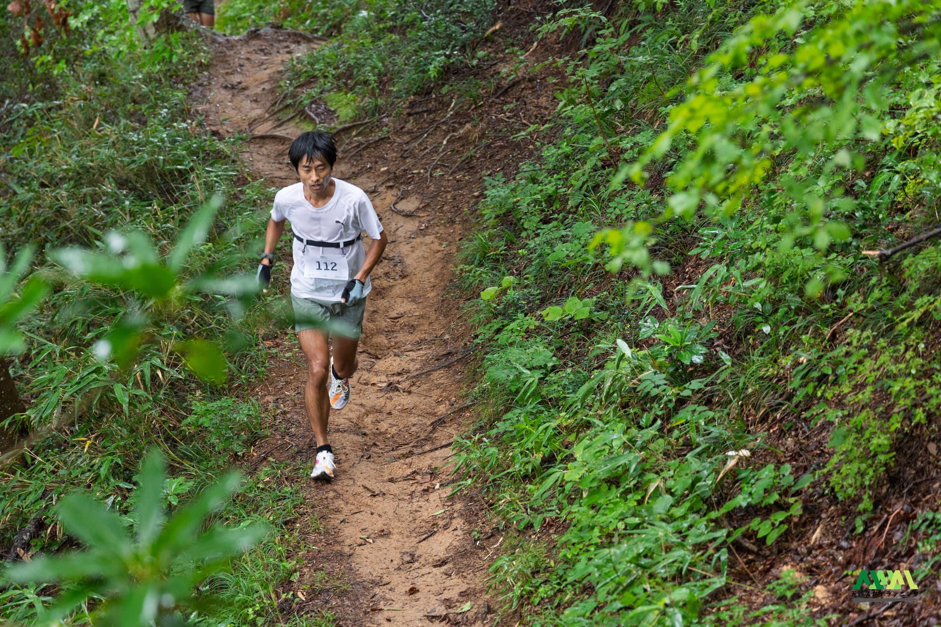 五頭登山競走を走る様子