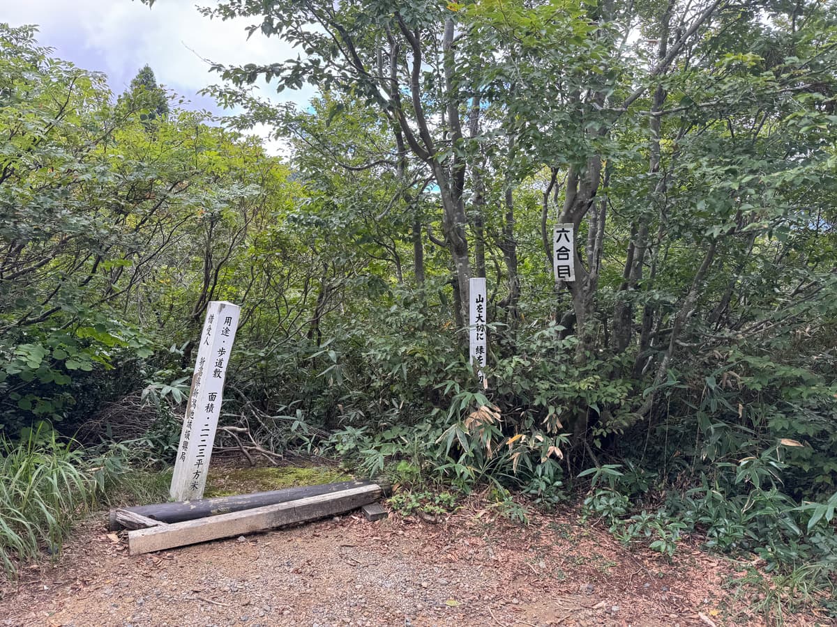 6合目付近